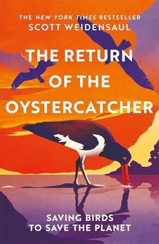 The Return of the Oystercatcher by Scott Weidensaul