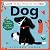 Look at Me, What Do You See? Dog by Richard Jones