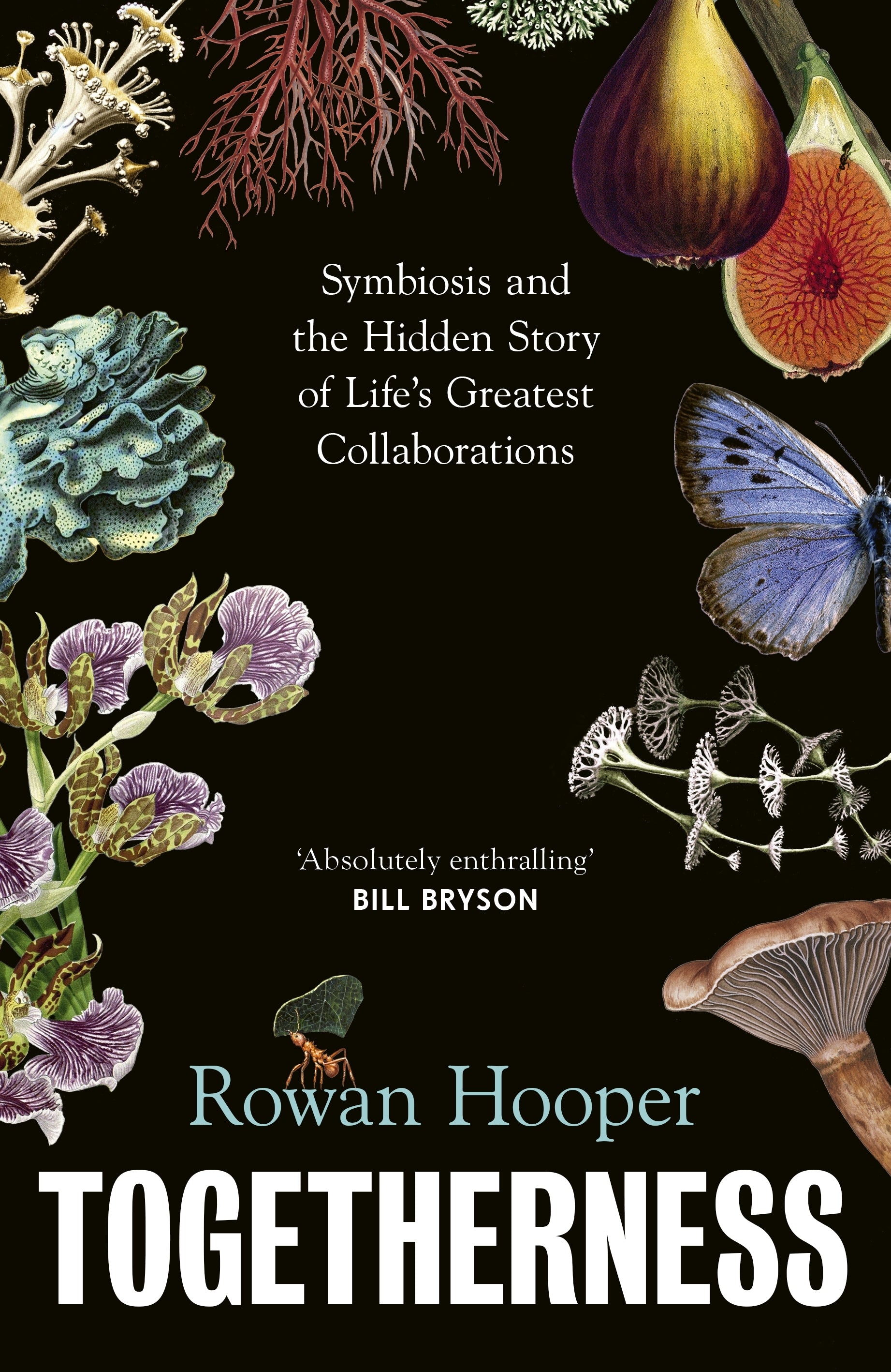 Togetherness: Symbiosis and the Hidden Story of Life’s Greatest Collaborations