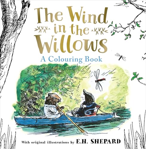 Wind in the Willows Colouring Book by Grahame Kenneth
