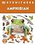 Eyewitness Amphibian