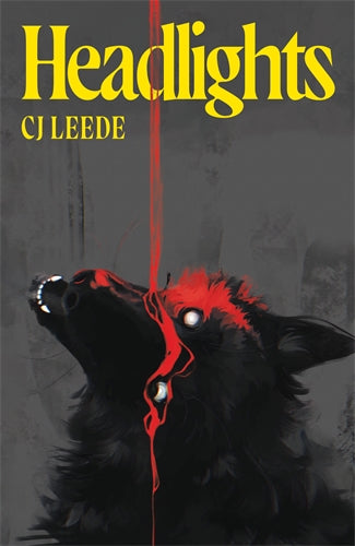 Headlights by Cj Leede