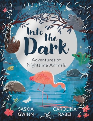 Into the Dark by Saskia Gwinn