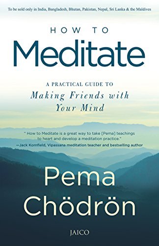 How to Meditate: A Practical Guide to Making Friends with Your Mind