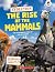 The Rise of Mammals
