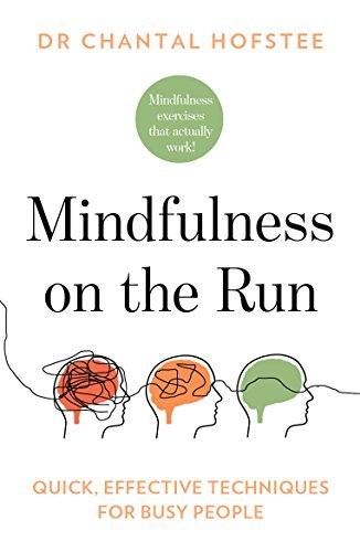 Mindfulness on the Run: Quick, Effective Mindfulness Techniques for Busy People [Paperback]