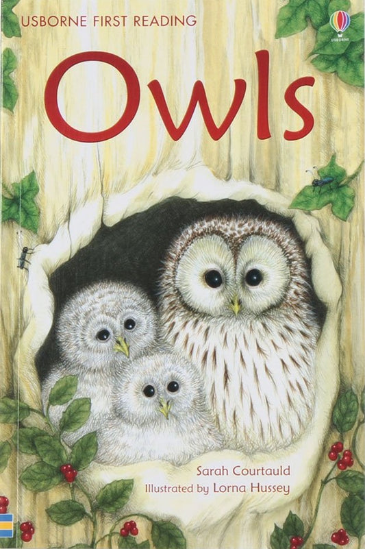 Owls