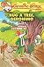 Hug a Tree, Geronimo
