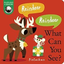 Reindeer! Reindeer! What Can You See? by Dee Costello