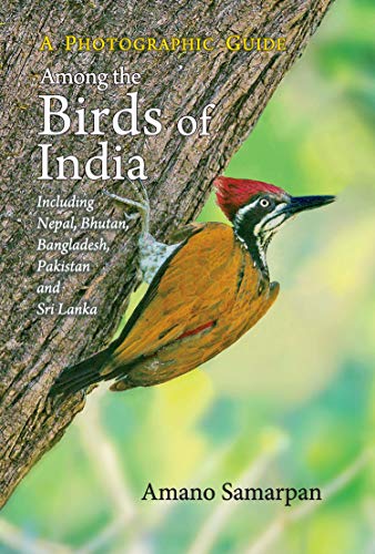 AMONG THE BIRDS OF INDIA