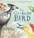 Go-Away Bird