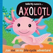 Hello! My Name Is...Axolotl by Alice Fewery