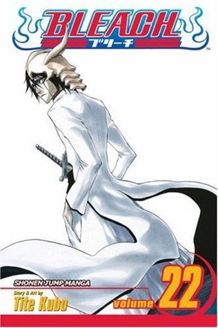 Bleach, Volume 22