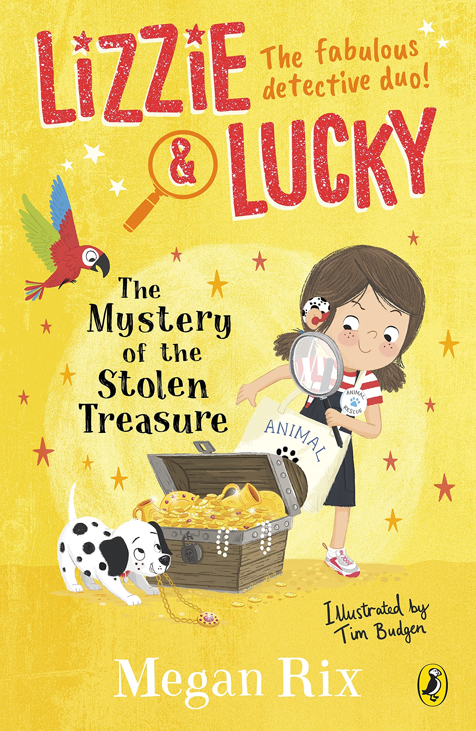 The Mystery of the Stolen Treasure by Megan Rix