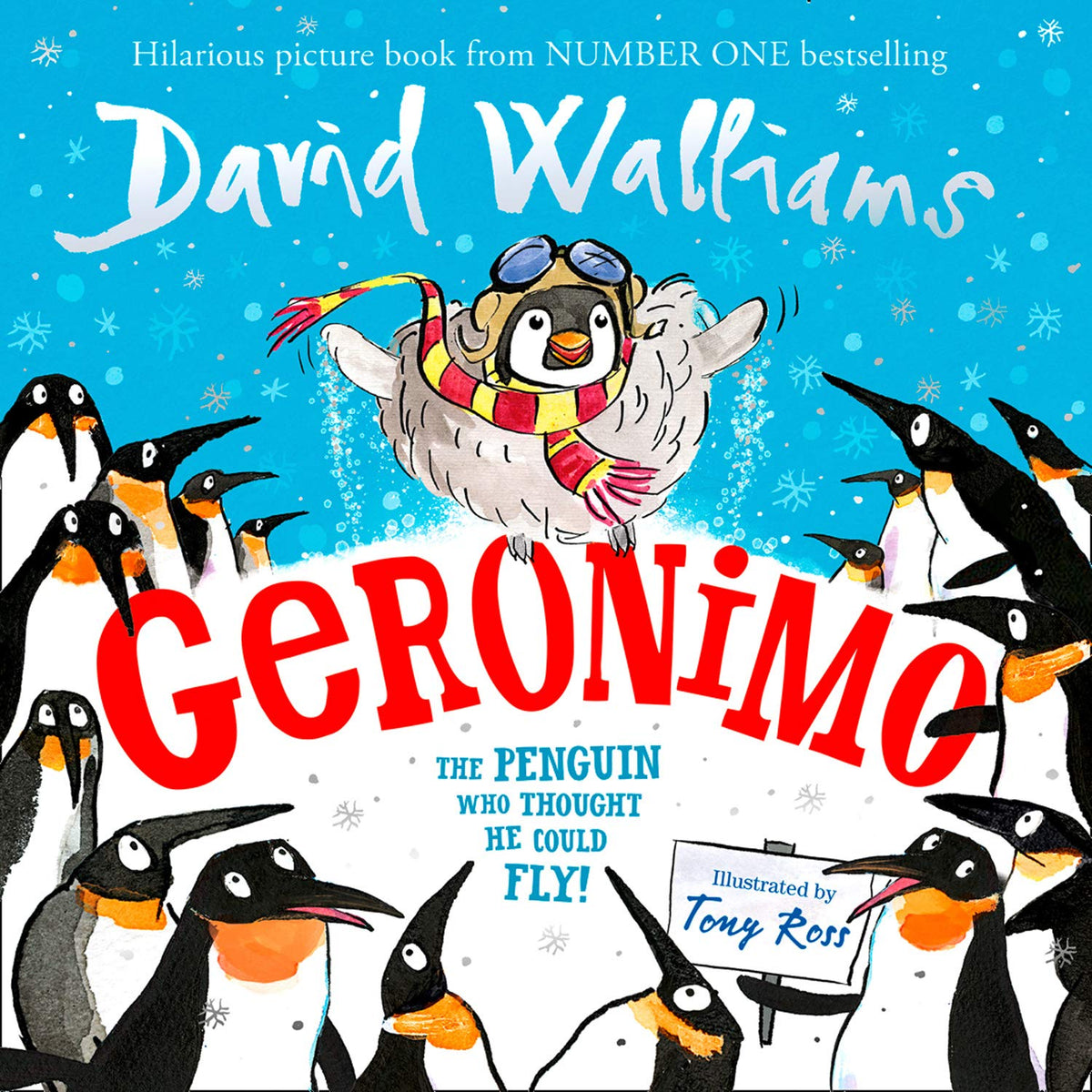 Geronimo: A book by David Walliams