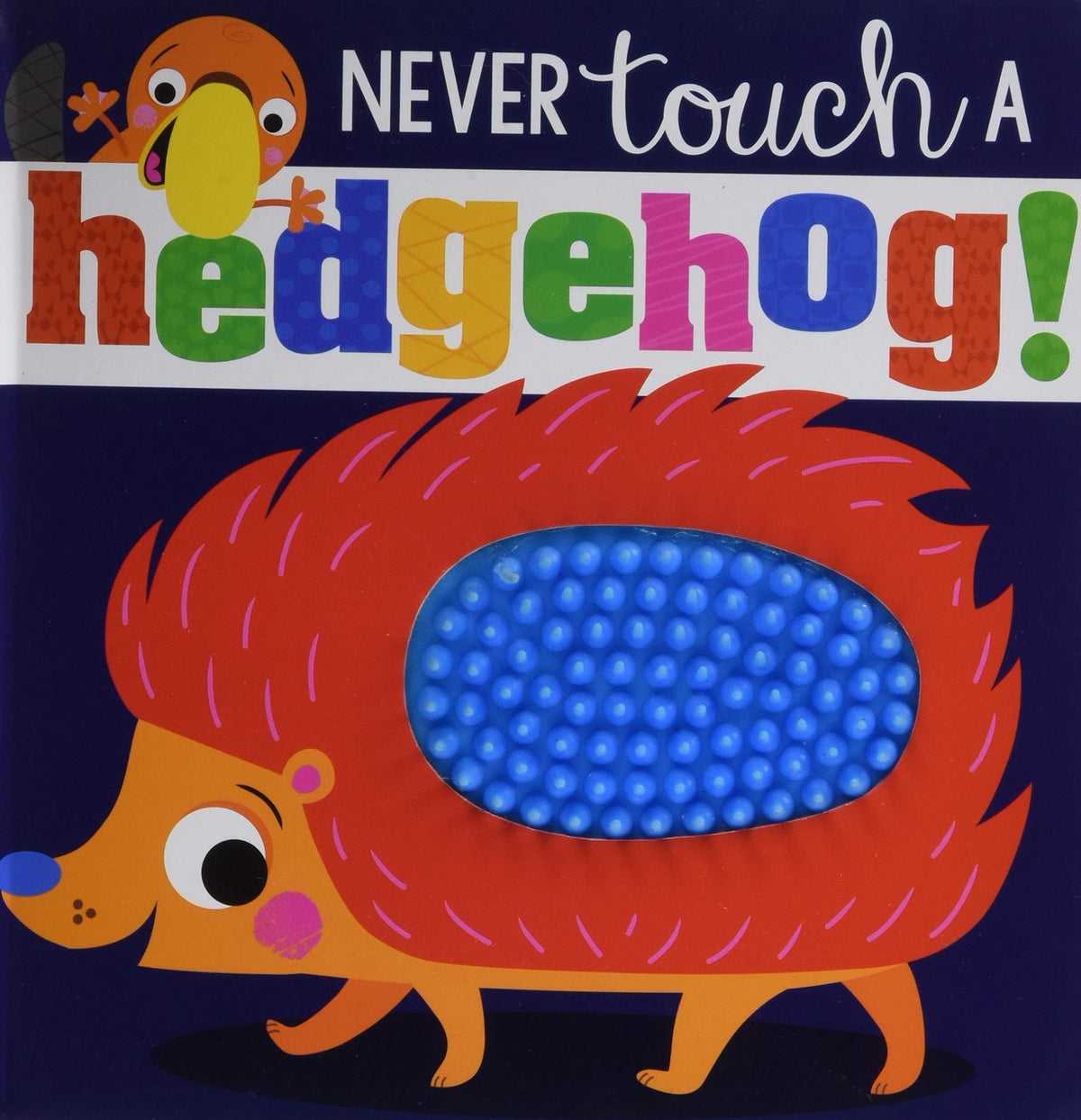 NEVER touch a hedgehog