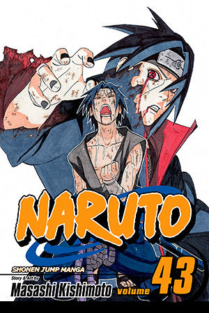 Naruto, Vol. 43: The Man with the Truth