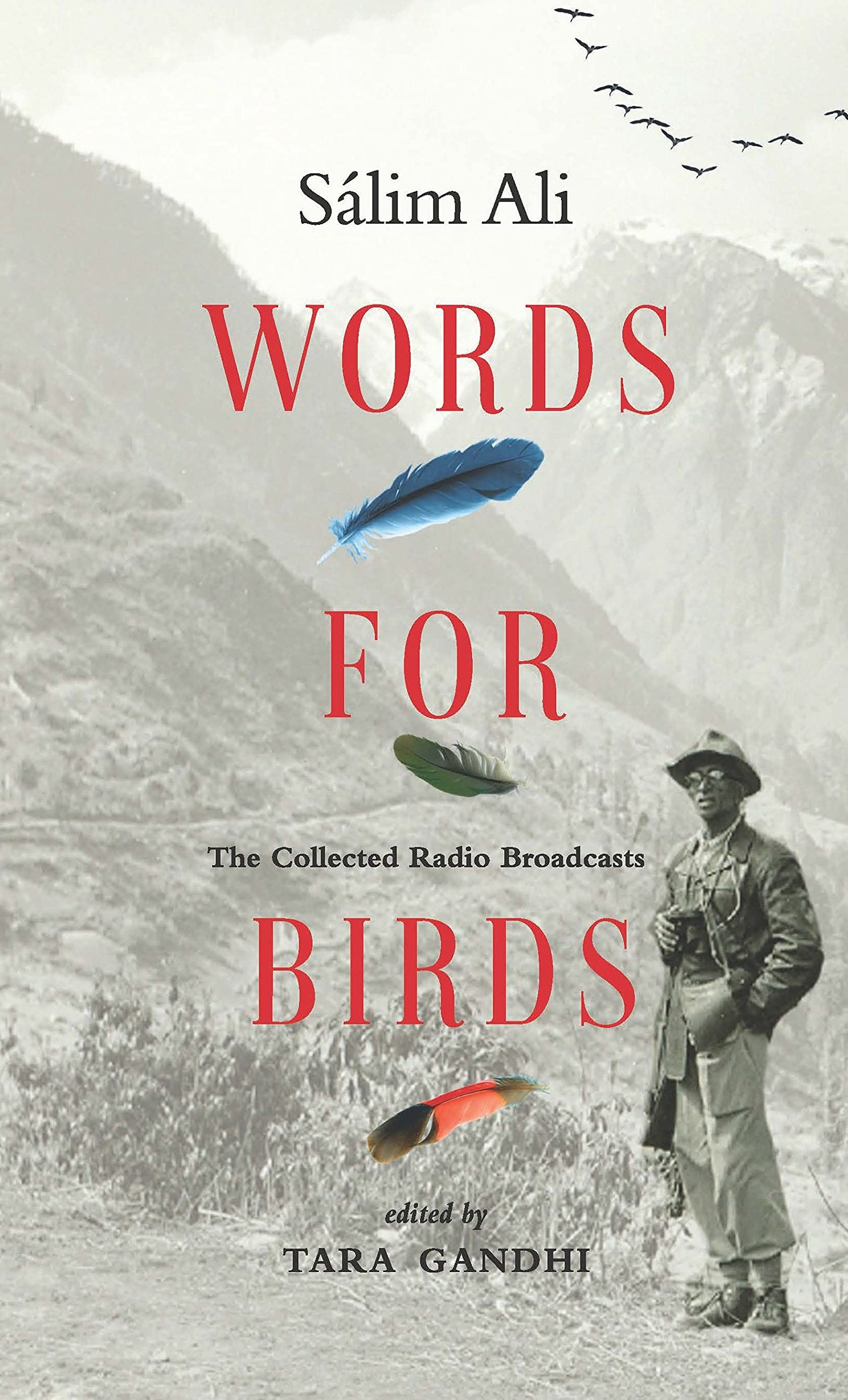Words For Birds
