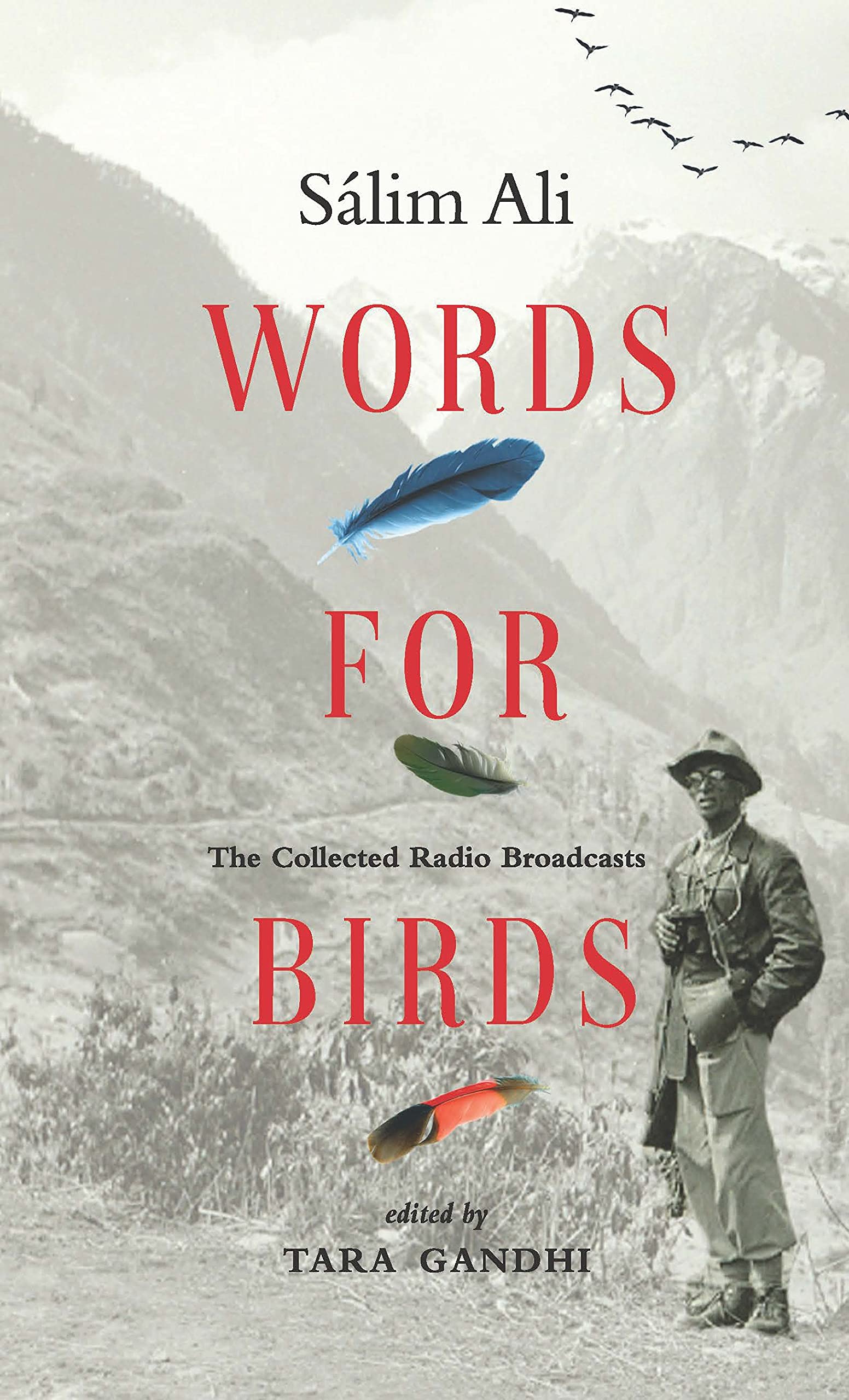 Words For Birds