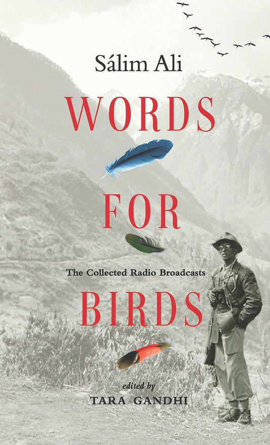 Words For Birds