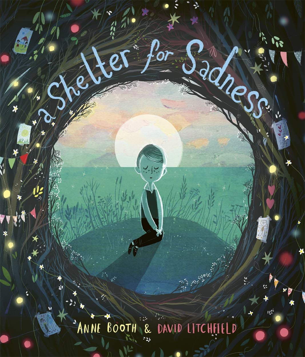 A Shelter for Sadness by Anne Booth; David Litchfield (illustrator)