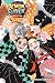 Demon Slayer: Kimetsu no Yaiba―One-Winged Butterfly by Aya Yajima
