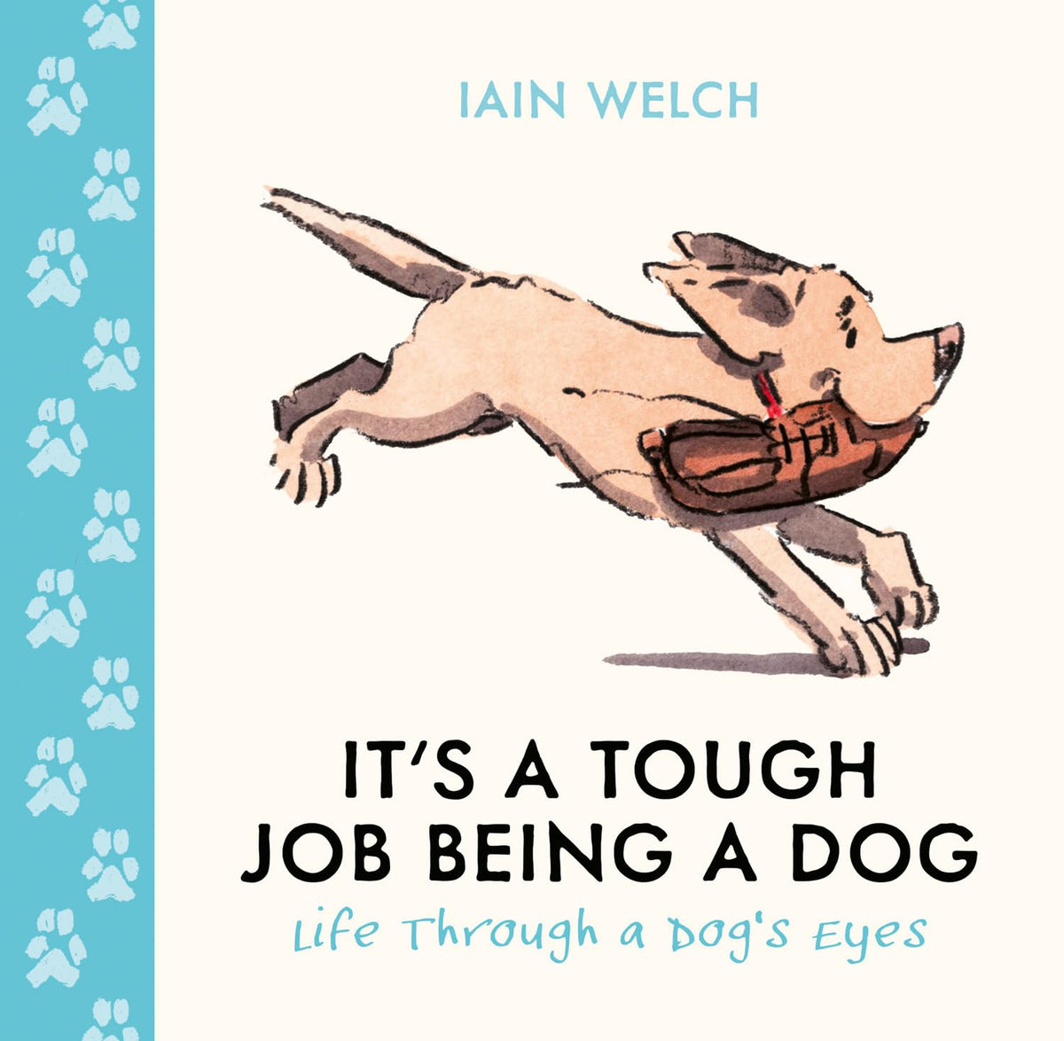 It's a Tough Job Being a Dog: Being Man's Best Friend Is No Walk in the Park. A beautiful gift with heart-warming illustrations by Iain Welch