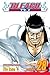 Bleach, Volume 28
