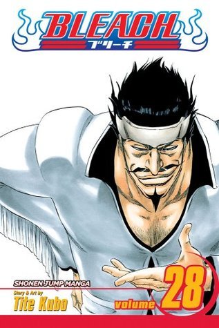 Bleach, Volume 28