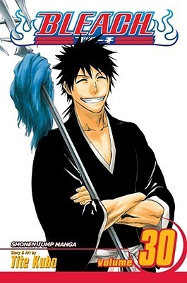 Bleach, Volume 30