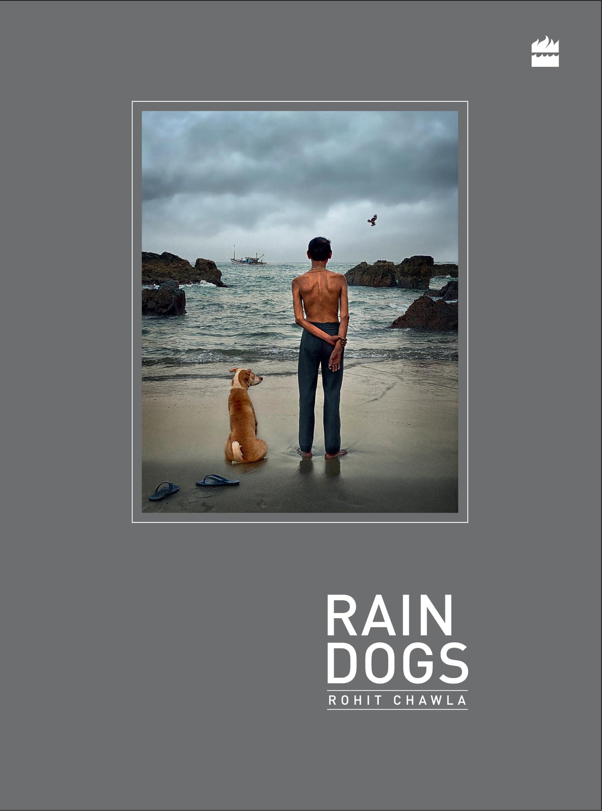 Rain Dogs by Rohit Chawla