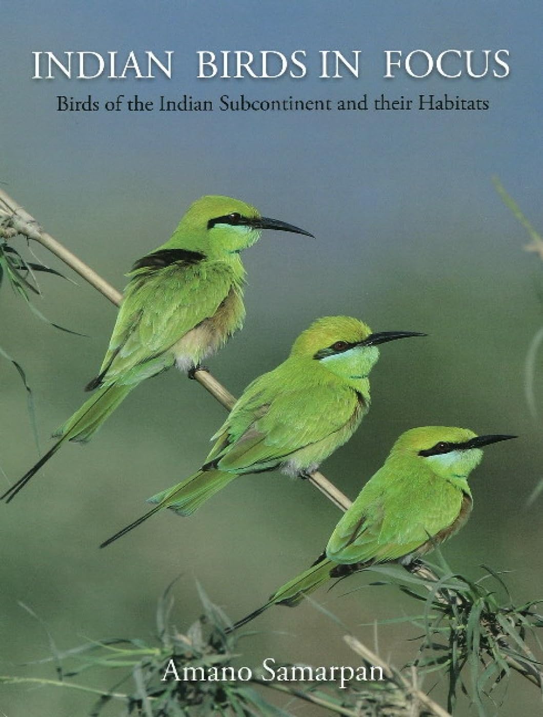 Indian Birds in Focus by Amano Samarpan