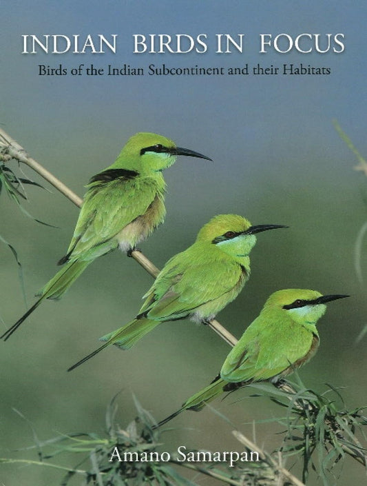 Indian Birds in Focus by Amano Samarpan