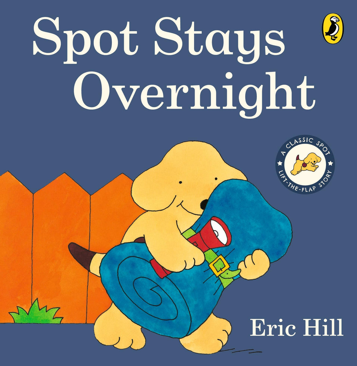 Spot Stays Overnight by Hill Eric