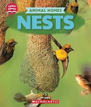 Learn About: Animal Homes: Nests by Jay Leslie