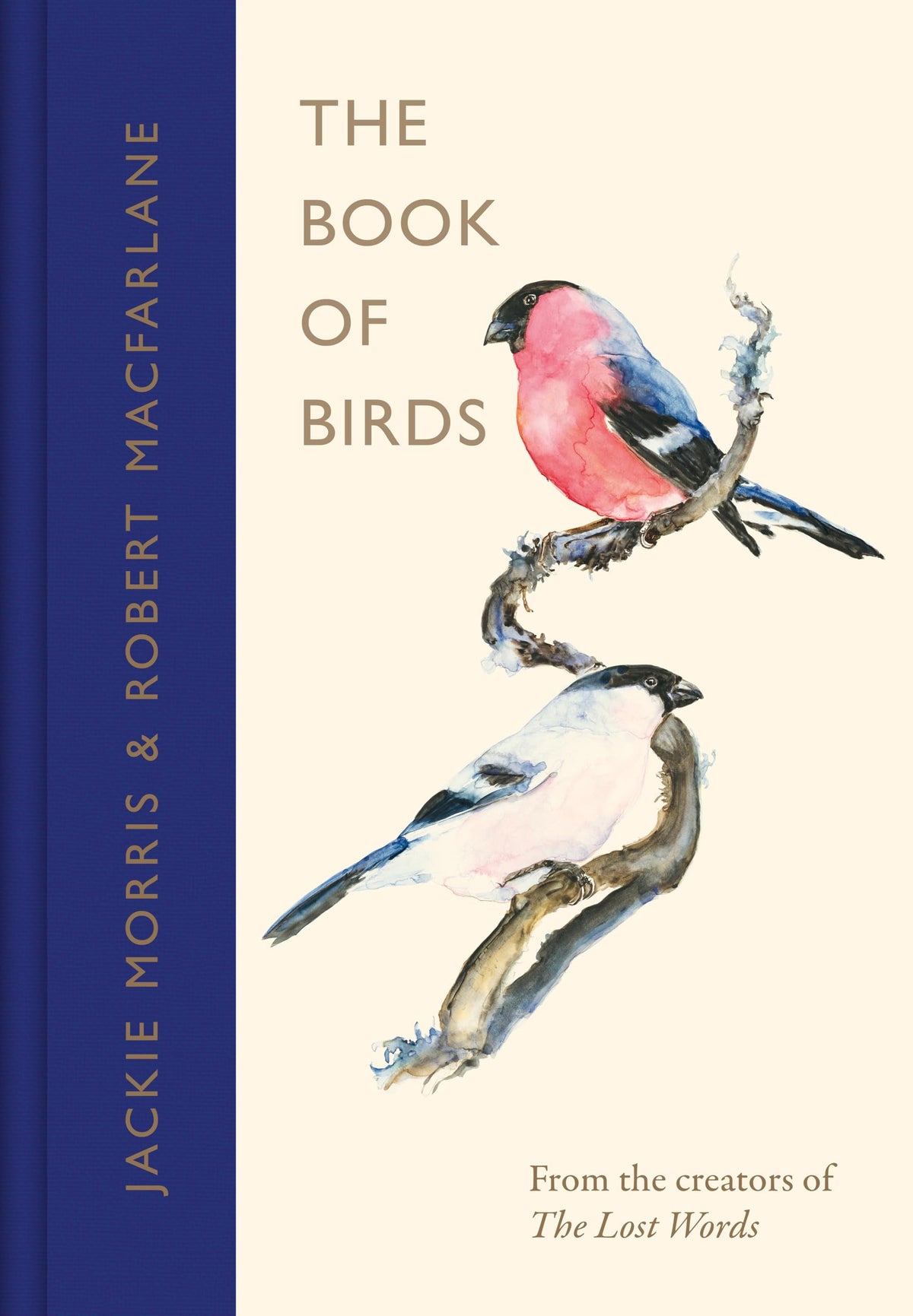 The Book of Birds by Robert,morris, Jackie Macfarlane