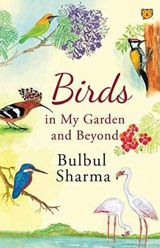 Birds in my garden and beyond