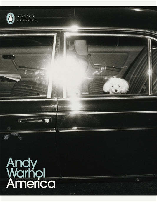Andy Warhol America /anglais by Andy Warhol