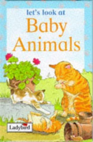 Baby Animals