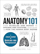 Anatomy 101 by Kevin Langford