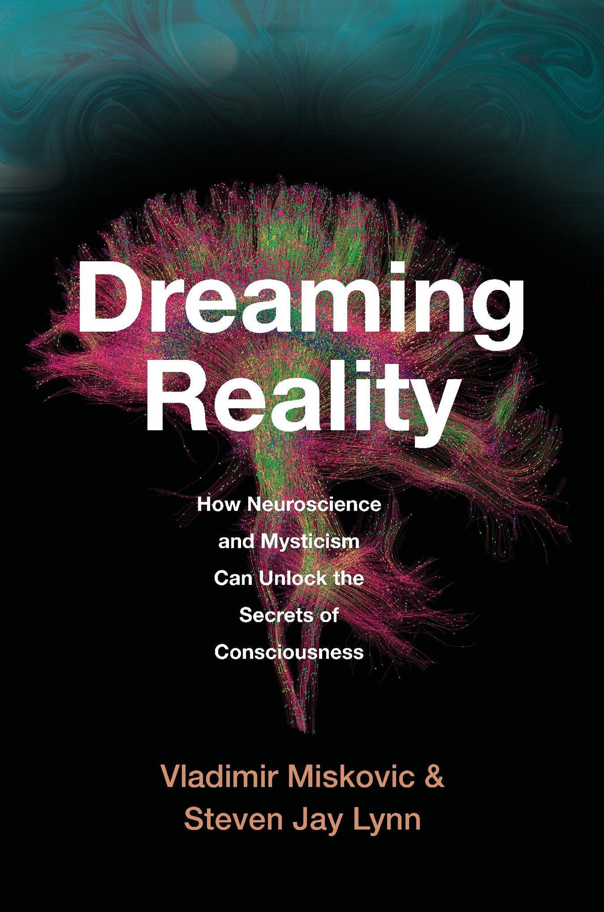 Dreaming Reality by Vladimir,lynn, Steven Jay Miskovic