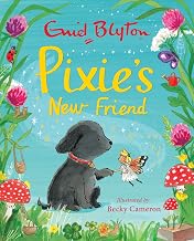 Pixie'S New Friend by Enid Blyton
