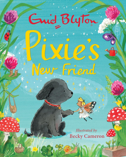 Pixie'S New Friend by Enid Blyton