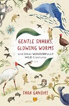 Gentle Sharks, Glowing Worms by Tara Gandhi