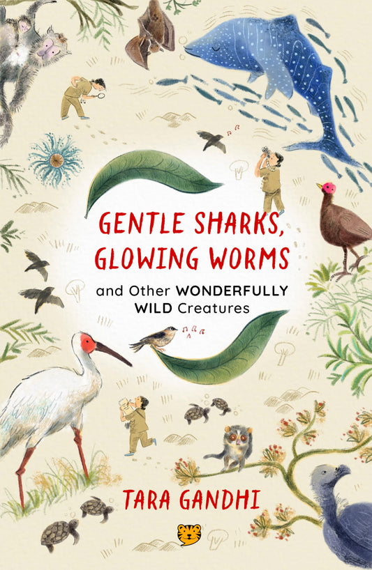 Gentle Sharks, Glowing Worms by Tara Gandhi