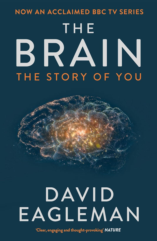 The Brain  by David Eagleman