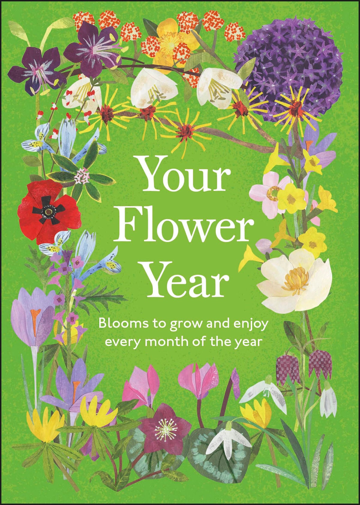 Your Flower Year by Dk