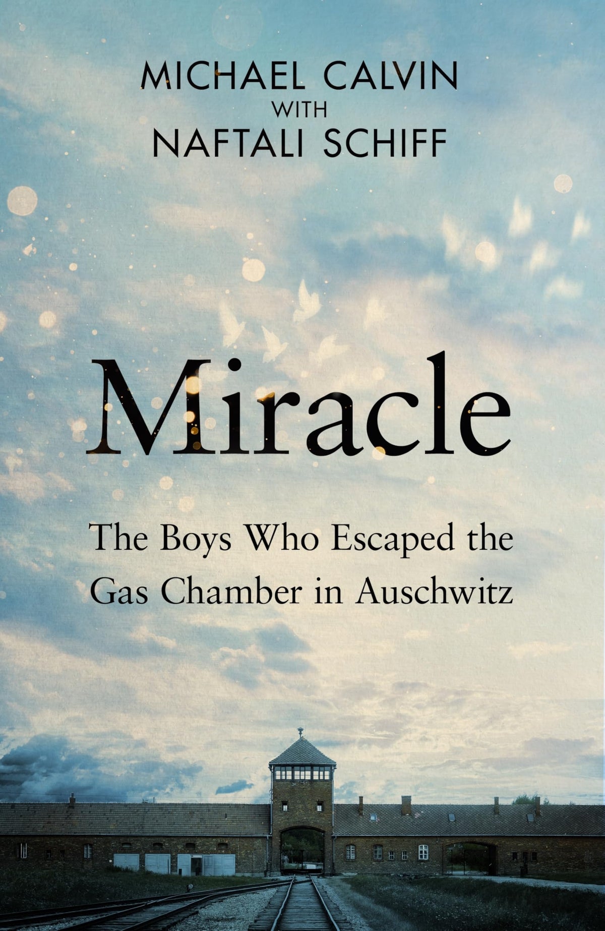 Miracle by Michael,schiff, Naftali Calvin