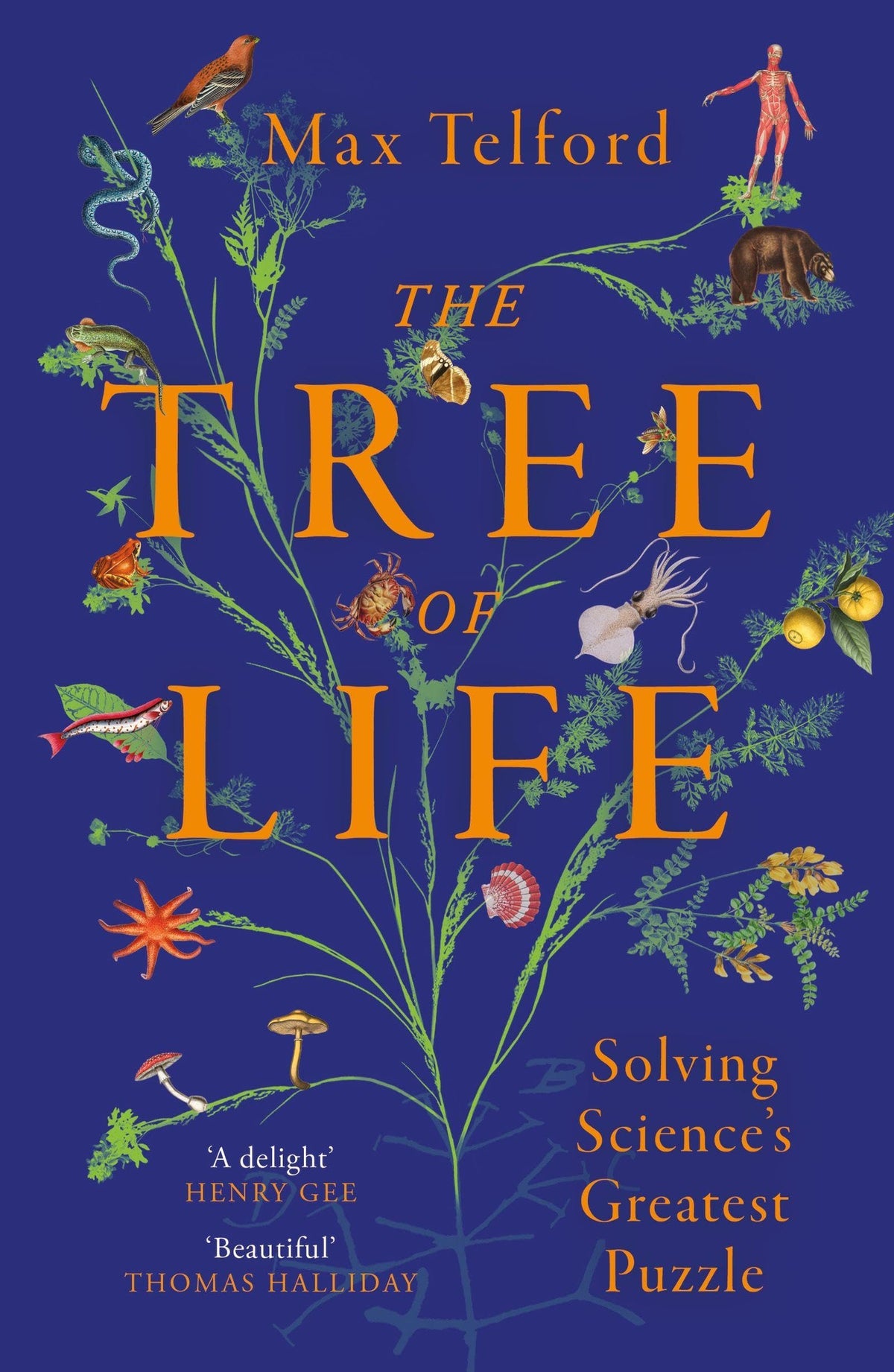 The Tree of Life: Solving Science's Greatest Puzzle by Max Telford