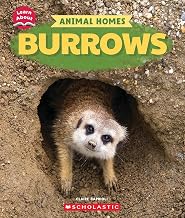 Learn About: Animal Homes: Burrows by Claire Caprioli
